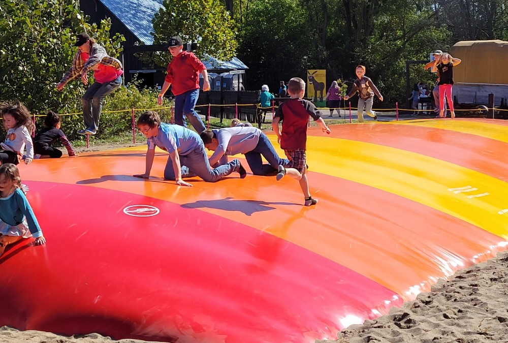 70ft Bounce Pillow