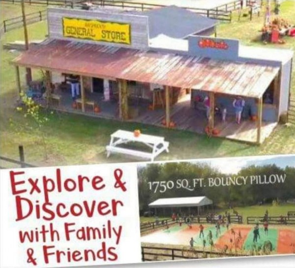 Overview of Southfork Homestead Site